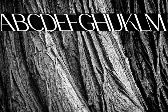 La Fleur Oblique Font examples