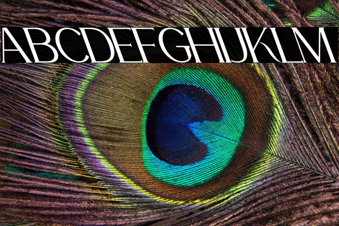 La Fleur Oblique Example 3