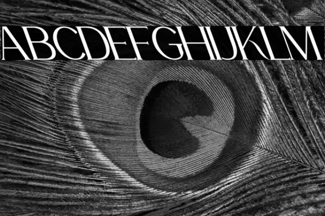 La Fleur Oblique Font examples