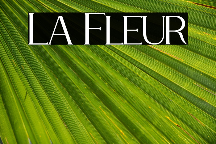 La Fleur Example 2