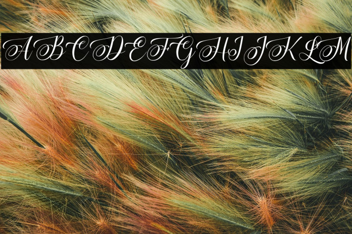 La Flibustiere Example 1