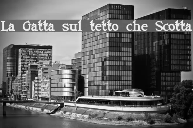 La Gatta sul tetto che Scotta Font examples