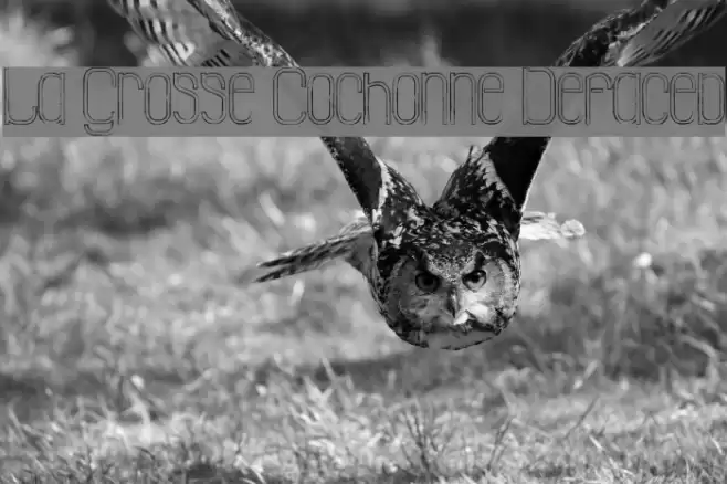 La Grosse Cochonne Defaced Schriftart examples