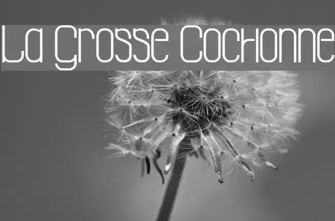 La Grosse Cochonne Fuentes examples