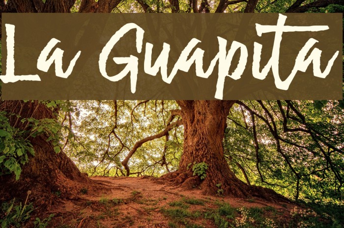 La Guapita Font examples