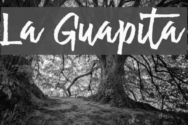 La Guapita Fonte examples