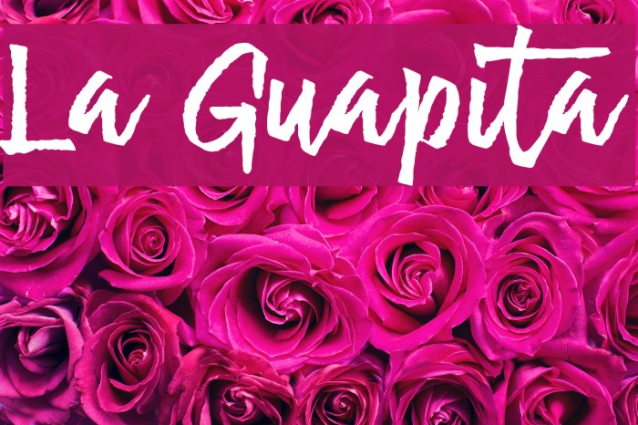 La Guapita Font examples