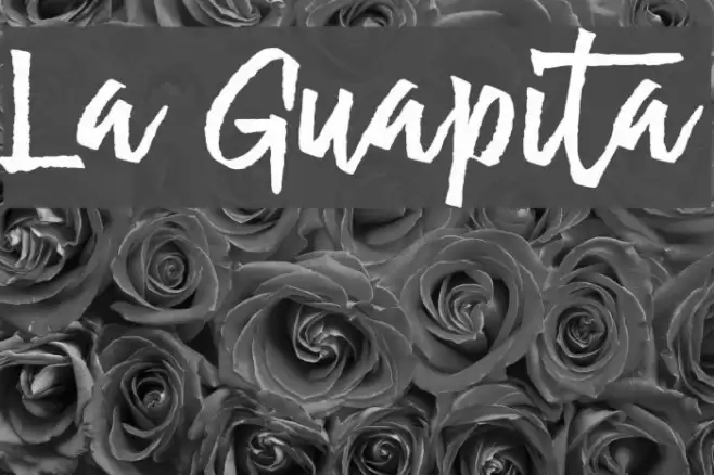 La Guapita Fonte examples