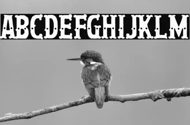 La Hija del Trapecista Fonte examples