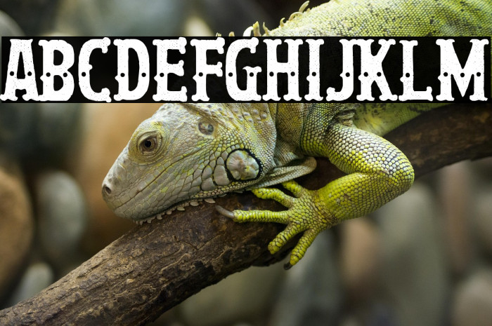 La Hija del Trapecista Example 2