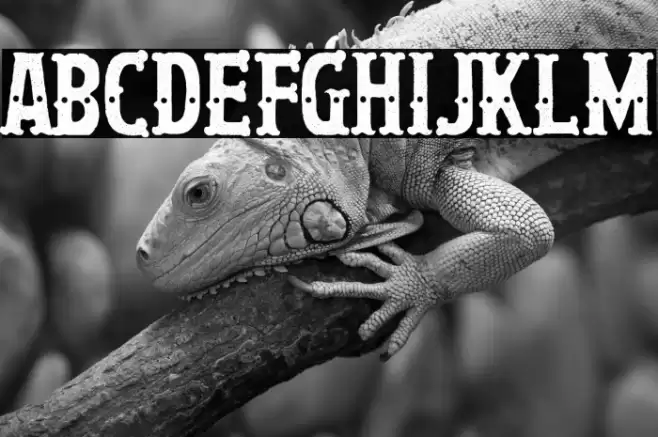 La Hija del Trapecista Fonte examples