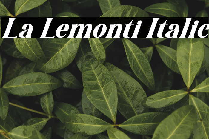La Lemonti Italic Example 1