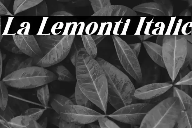 La Lemonti Italic Font examples