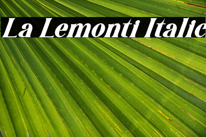 La Lemonti Italic Example 2