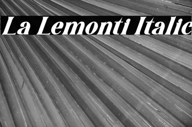 La Lemonti Italic Font examples