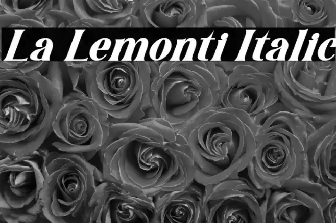 La Lemonti Italic Font examples