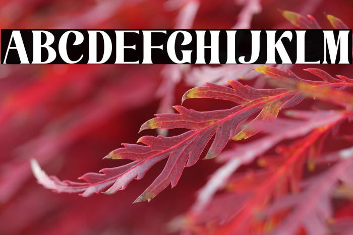 La Lemonti Example 2