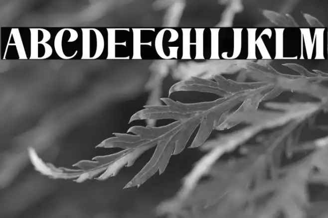 La Lemonti Caratteri examples