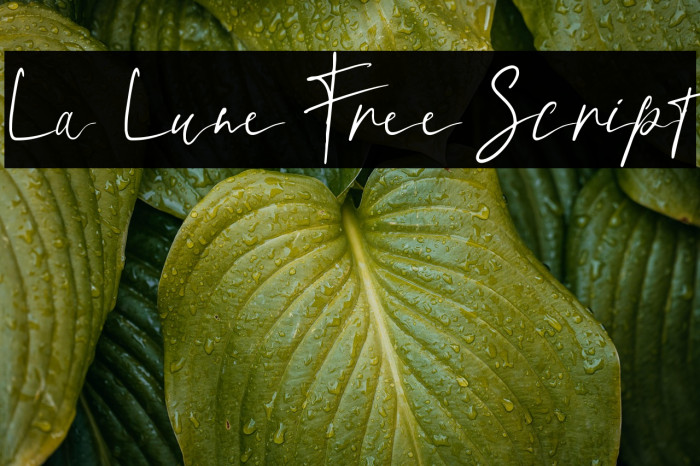 La Lune Free Script Example 2