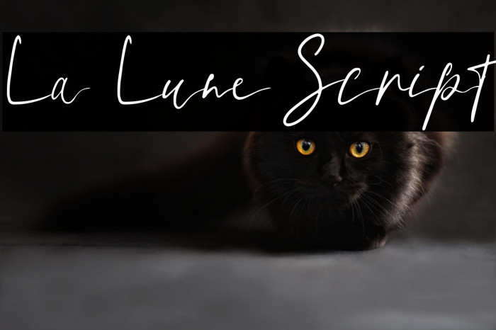 La Lune Script Example 1