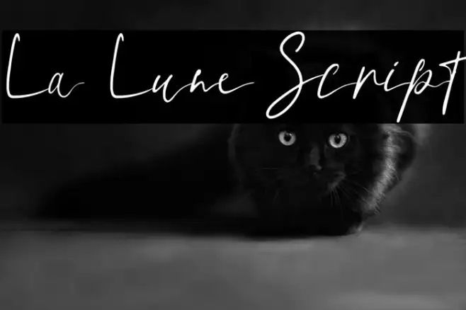 La Lune Script Example 1
