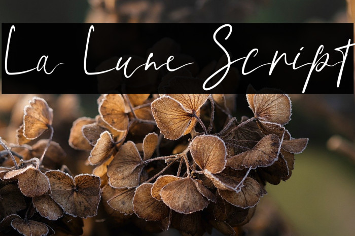 La Lune Script Example 2