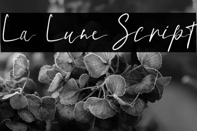 La Lune Script Example 2
