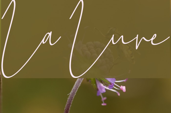 La Lune Font examples