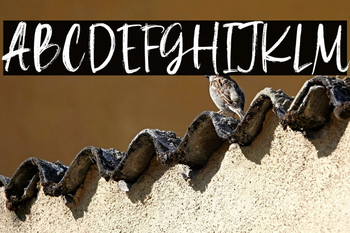 La Maison Brush Demo Version Example 1