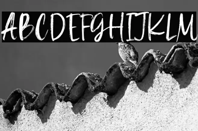 La Maison Brush Demo Version Font examples