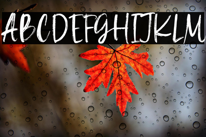 La Maison Brush Demo Version Example 2