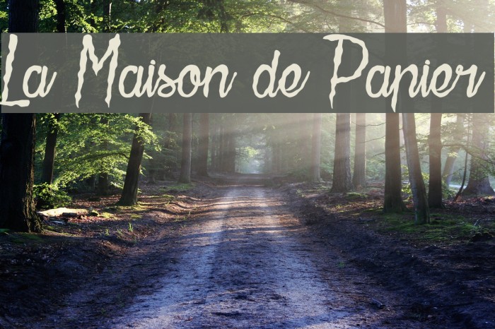 La Maison de Papier Polices examples