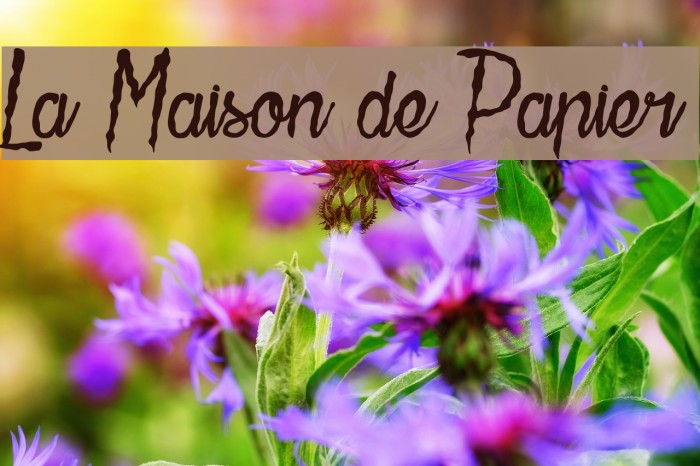 La Maison de Papier Polices examples
