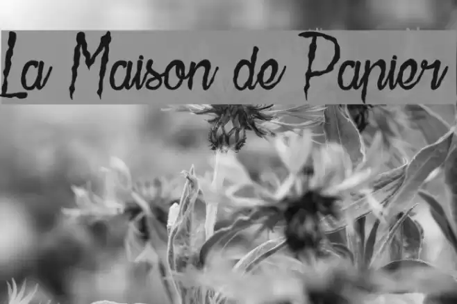 La Maison de Papier Polices examples