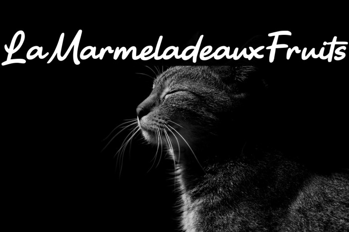 La Marmelade aux Fruits Example 3