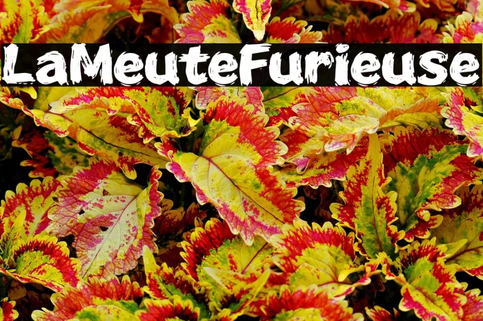 La Meute Furieuse Example 2