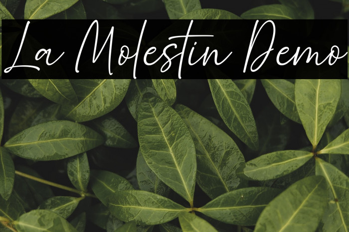 La Molestin Demo Example 2