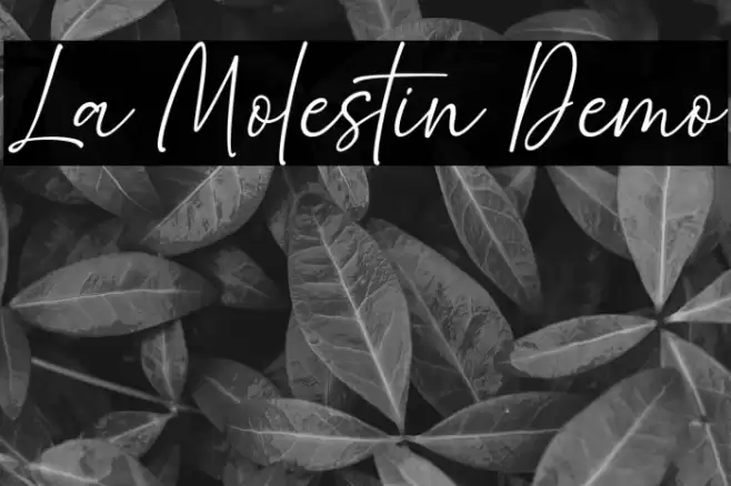La Molestin Demo خط examples