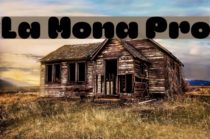 La Mona Pro Font examples