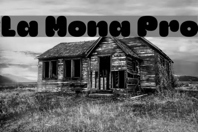 La Mona Pro Example 1