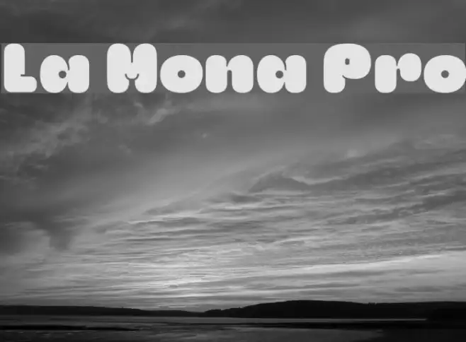 La Mona Pro Example 3