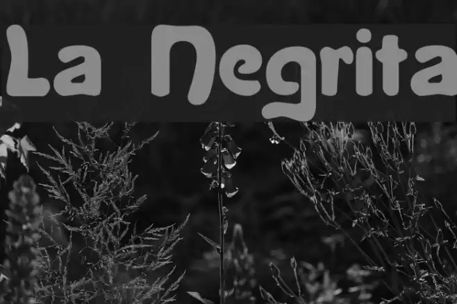 La Negrita फ़ॉन्ट examples