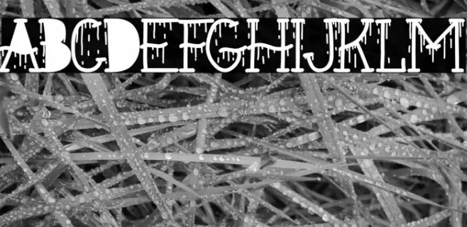 La Nueva Vieja Escuela Font examples