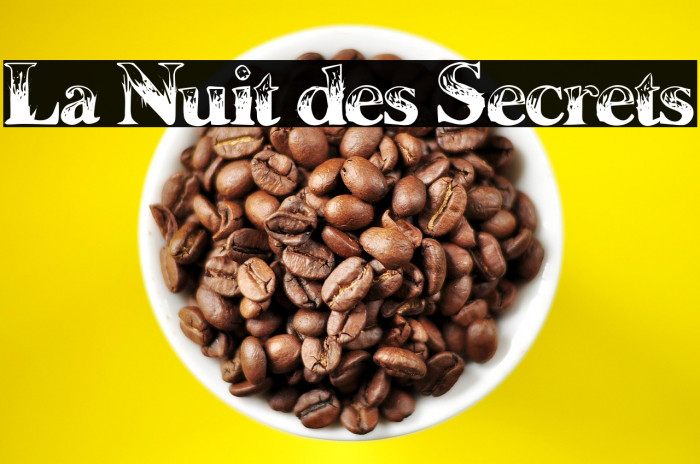 La Nuit des Secrets Example 3