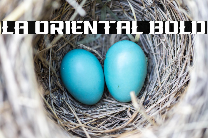 La Oriental Bold Example 2