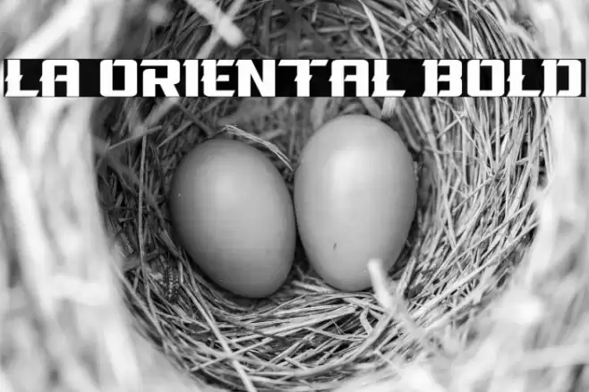 La Oriental Bold Fonte examples