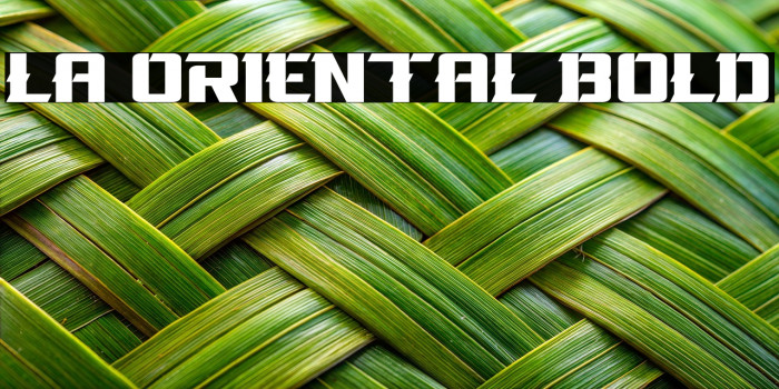 La Oriental Bold Example 3