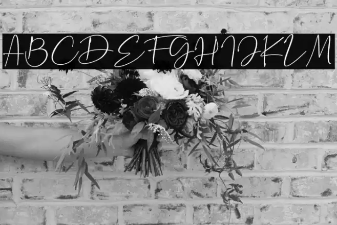 La Paloma Font examples