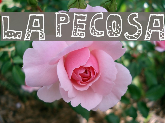 La Pecosa Font examples