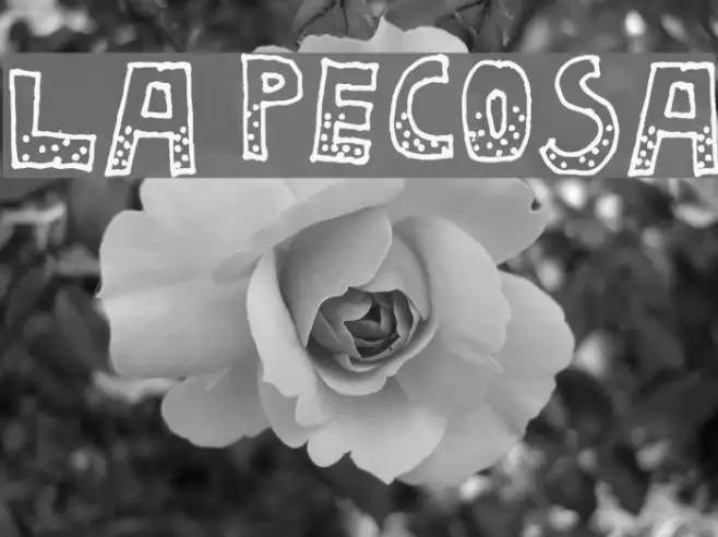 La Pecosa Example 2